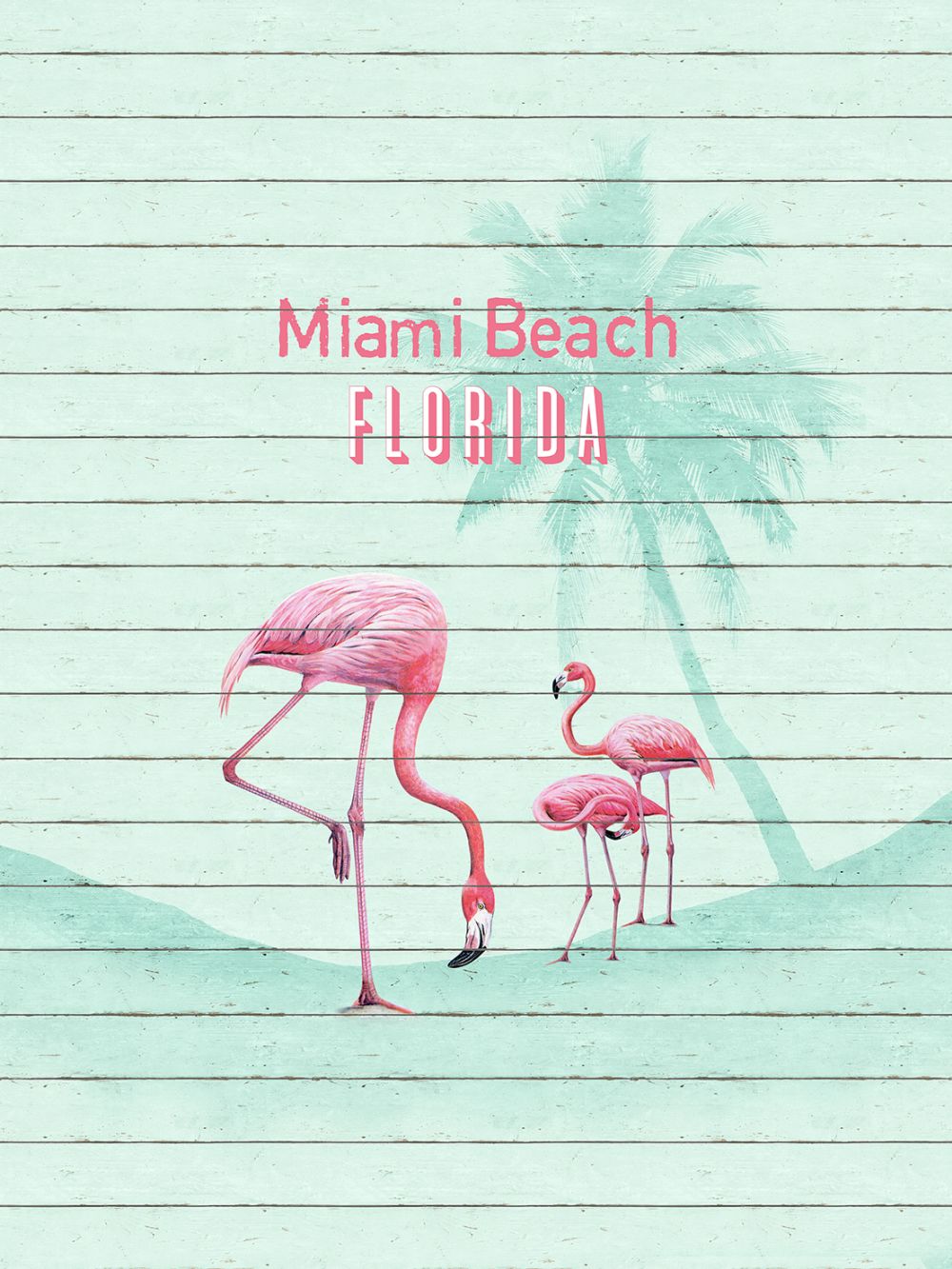  Fototapete Vlies Flamingo Miami Beach Florida 225x300cm