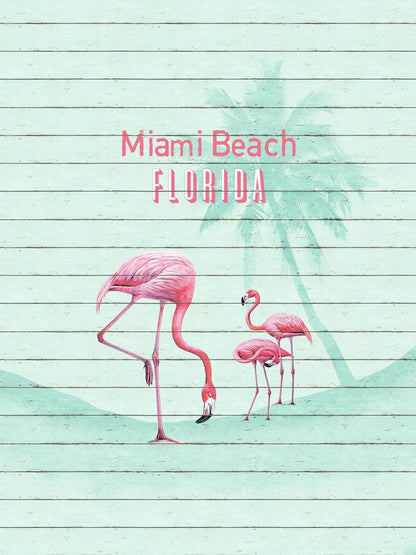  Fototapete Vlies Flamingo Miami Beach Florida 225x300cm
