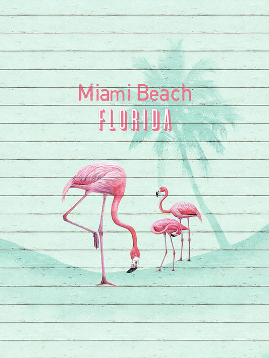  Fototapete Vlies Flamingo Miami Beach Florida 225x300cm