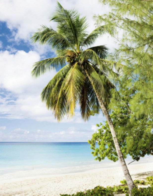  Fototapete Vlies Meer Palmen Urlaub Blau Grün Weiß 47269