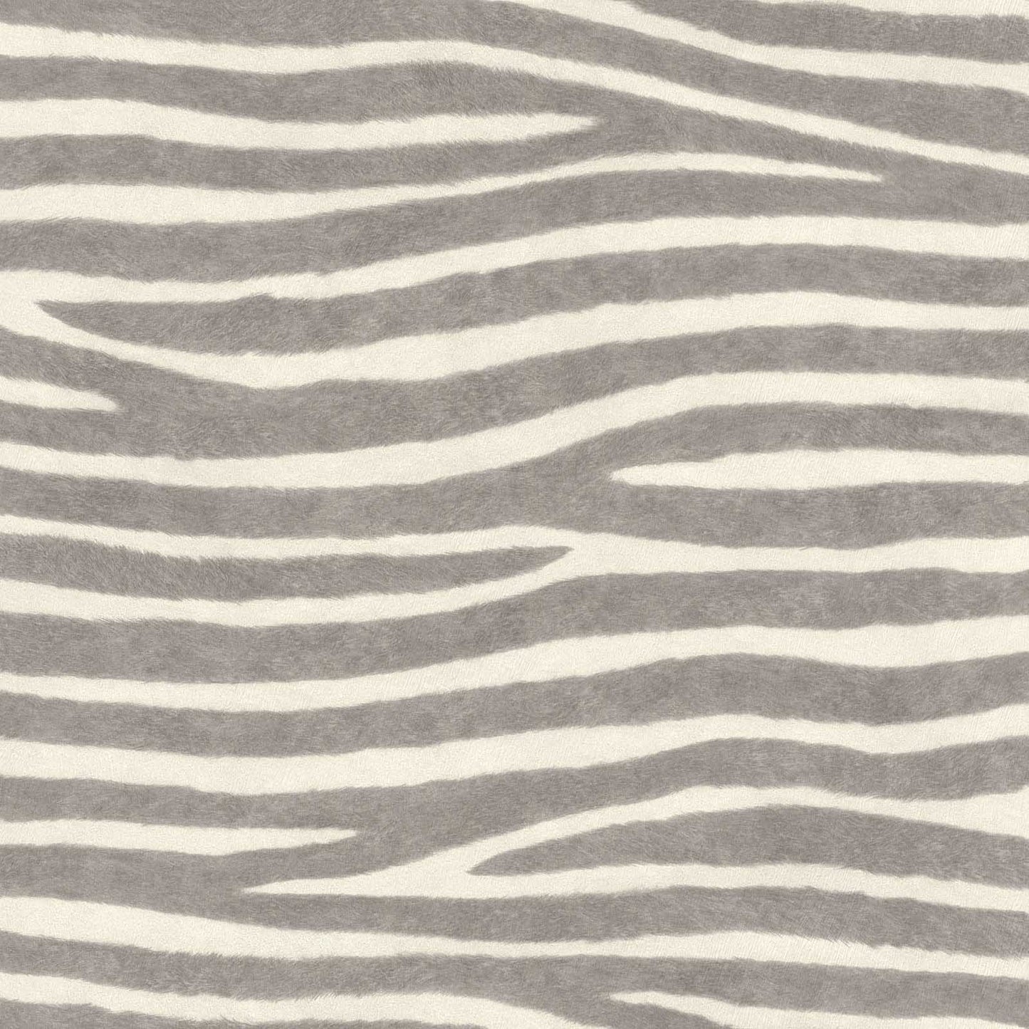  Vliestapete Rasch 751734 Felloptik Zebra Grau Weiß