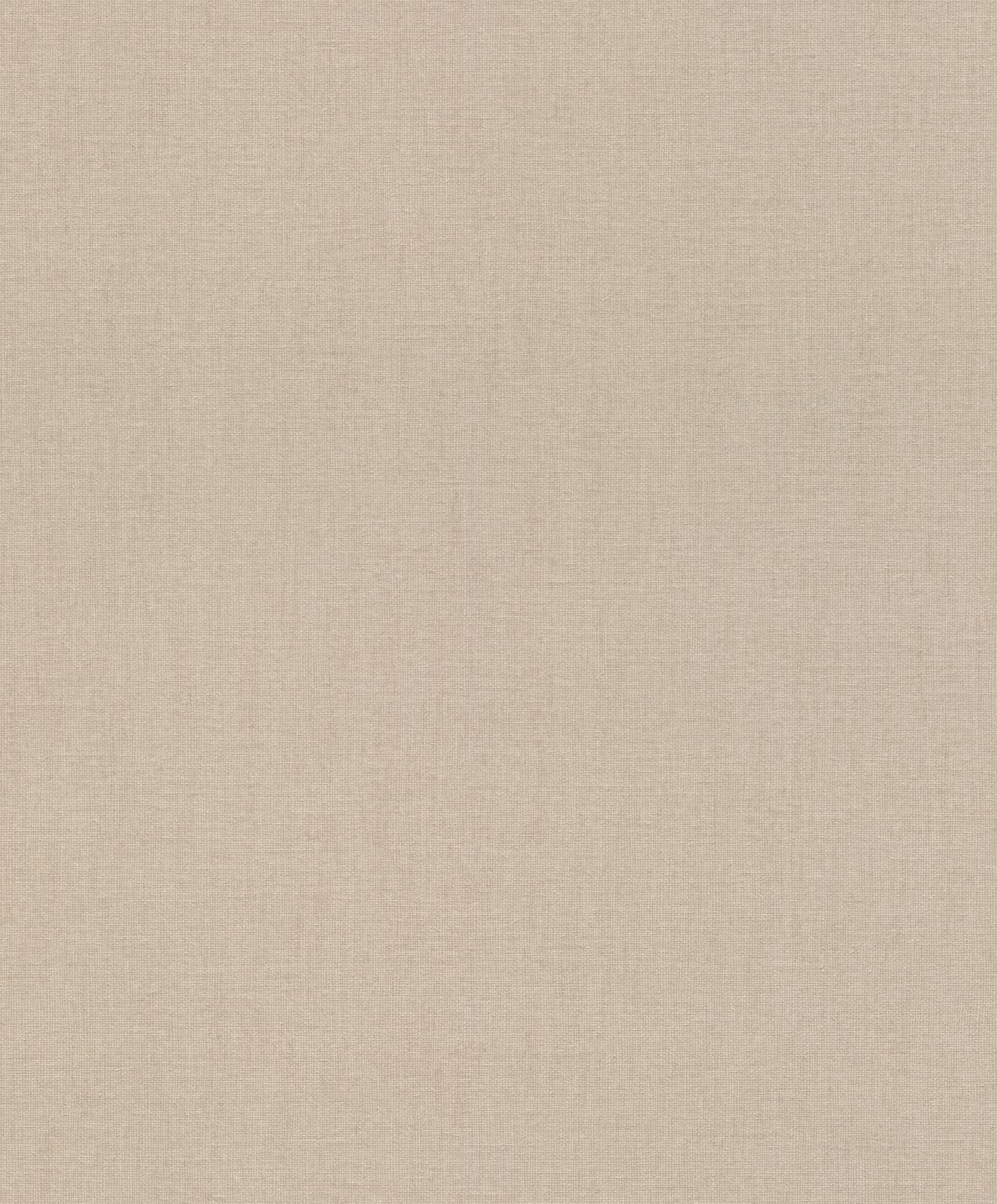  Tapete Vlies Rasch Uni Textil Hellbraun 484540