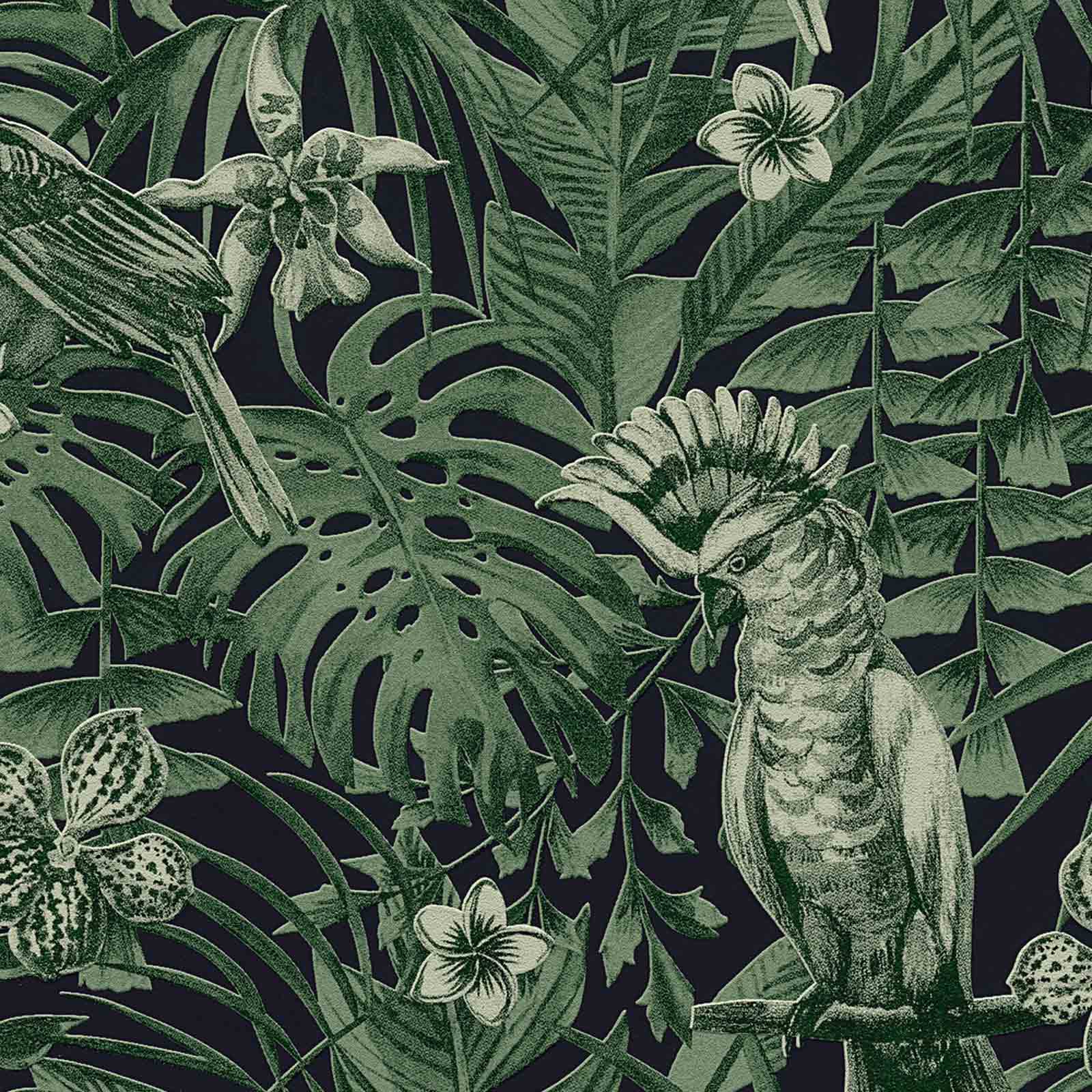 A.S. Creation Tapete Vlies Vögel Dschungel Schwarz Grün 37210-1