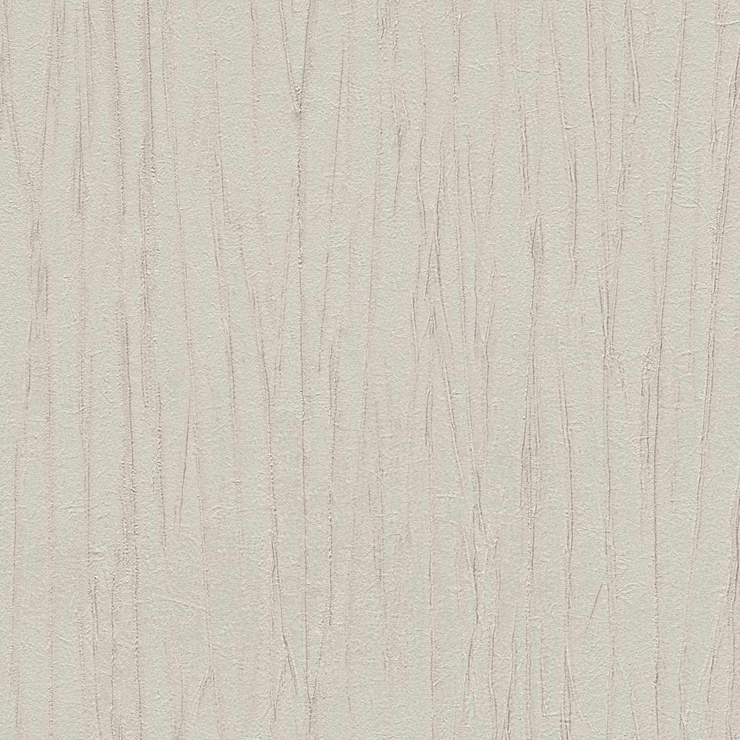 A.S. Creation Tapete Vlies Holzoptik Rinden-Optik Grau 8088-20