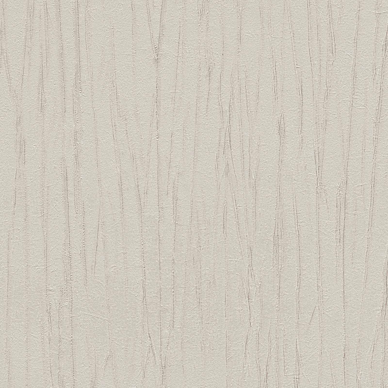 A.S. Creation Tapete Vlies Holzoptik Rinden-Optik Grau 8088-20