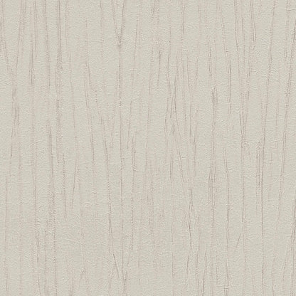 A.S. Creation Tapete Vlies Holzoptik Rinden-Optik Grau 8088-20