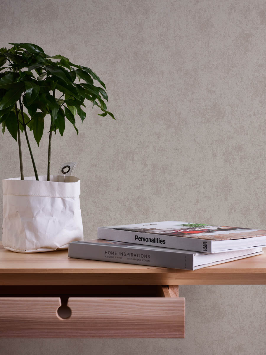 A.S. Creation Vliestapete Putzoptik Shabby Braun Silber Metallic 38969-8