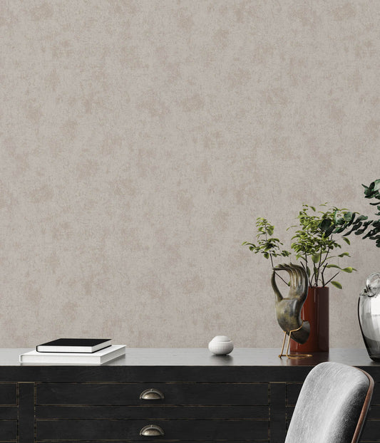 A.S. Creation Vliestapete Putzoptik Shabby Braun Silber Metallic 38969-8