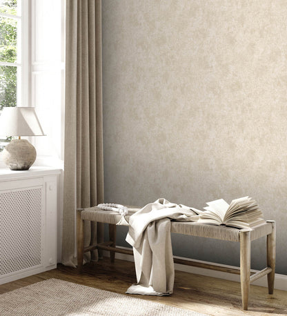 A.S. Creation Vliestapete Putzoptik Shabby Creme Silber Metallic 38969-5
