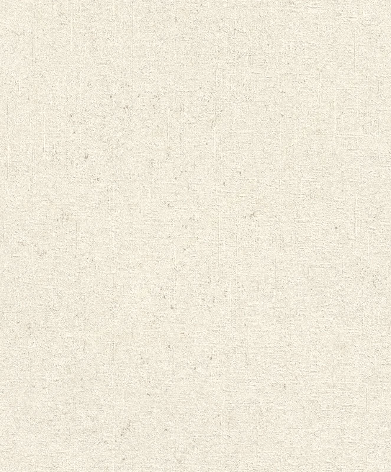  Vliestapete Putz Optik Beton Cremeweiß 520828 Rasch